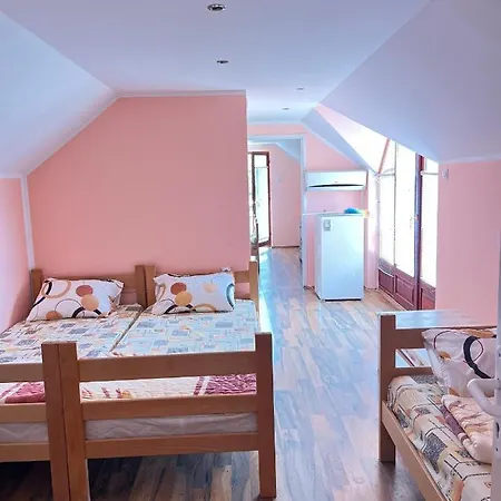 Alegrija Sobe Daire Soko Banja Dış mekan fotoğraf
