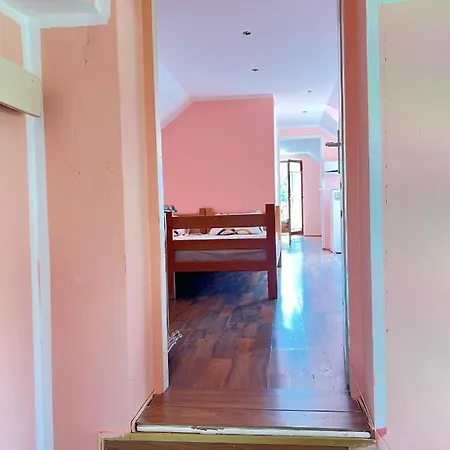 Alegrija Sobe Daire Soko Banja Dış mekan fotoğraf