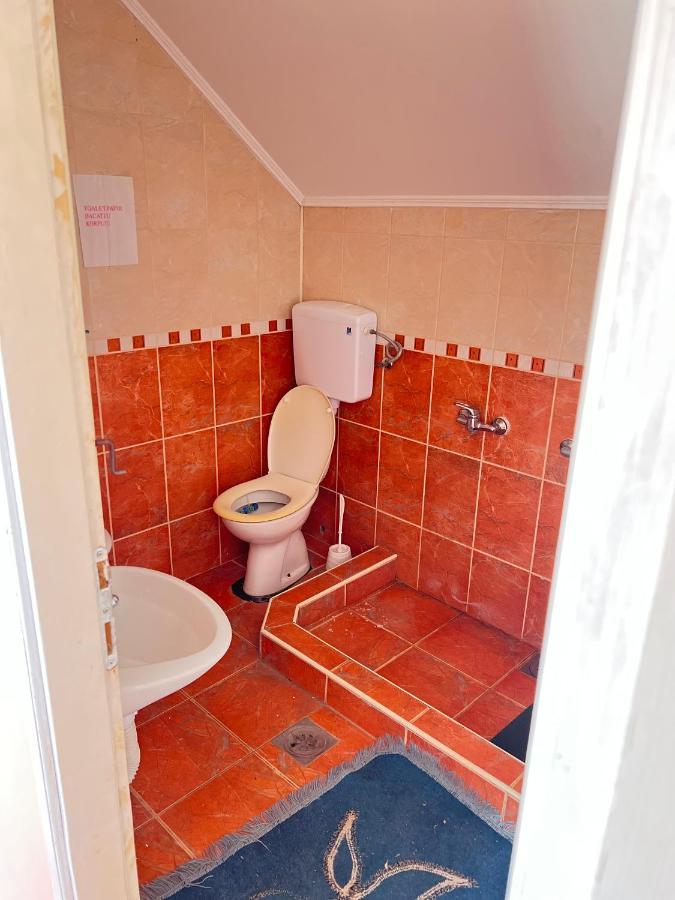 Alegrija Sobe Apartment Soko Banja